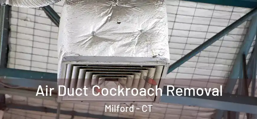 Air Duct Cockroach Removal Milford - CT