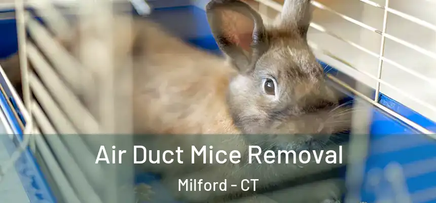 Air Duct Mice Removal Milford - CT