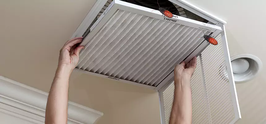 Preventive Cockroach-Proofing for Ducts in Milford