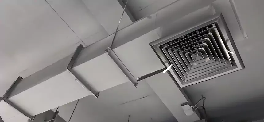 Our Pest Removal From Ducts Services in Milford, CT