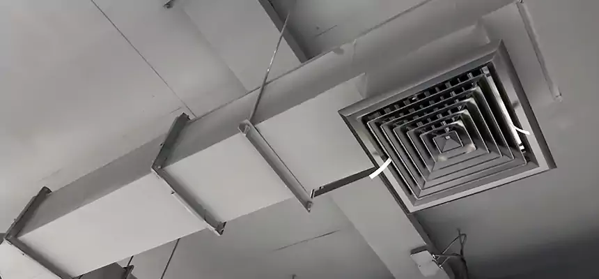 Our Rodent Droppings In Vents Services in Milford, CT