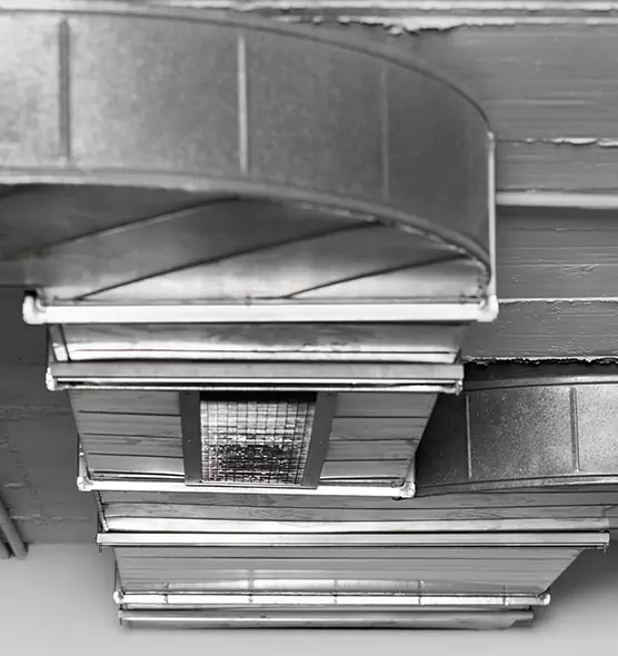 Professional Air Duct Pest Removal in Milford, CT