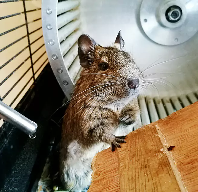 Why Homeowners & Businesses Trust Us Milford, CT?